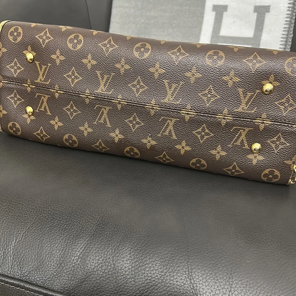 Rare Louis Python Bag - Picture 9 of 12